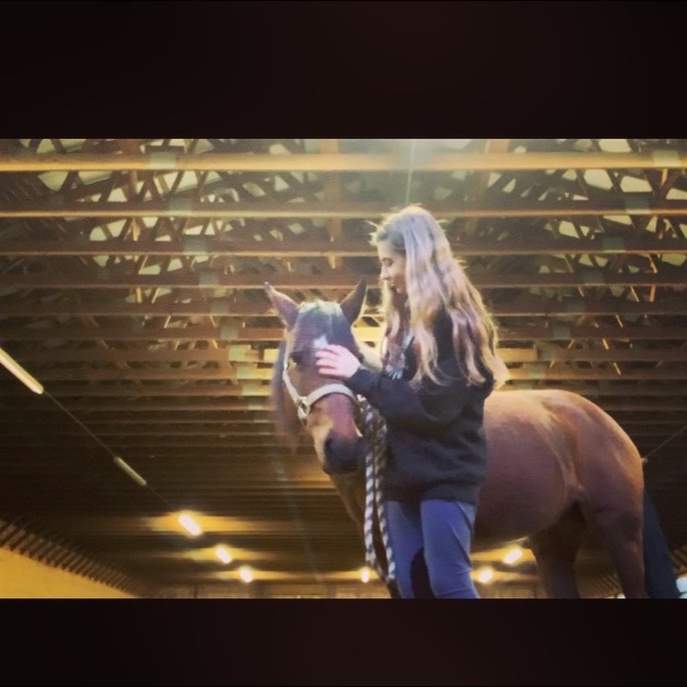 ISO HORSE TACK!